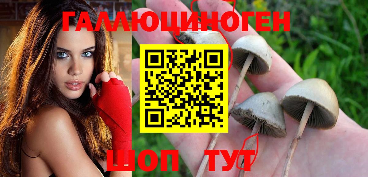 Галлюциногенные грибы мухоморы Славянск-на-Кубани
